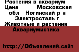 Растения в аквариум. › Цена ­ 200 - Московская обл., Ногинский р-н, Электросталь г. Животные и растения » Аквариумистика   